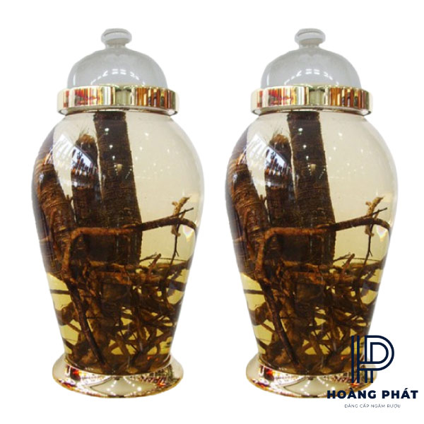 Bình Ngâm Rượu Hàn Quốc 25 Lít