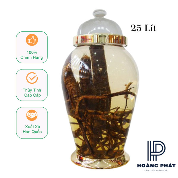 Bình Ngâm Rượu Hàn Quốc 25 Lít 