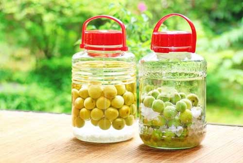 Cách ngâm rượu không bị mốc