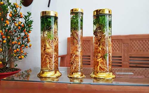 Cách Ngâm Rượu Sâm Đương Quy Đúng Chuẩn