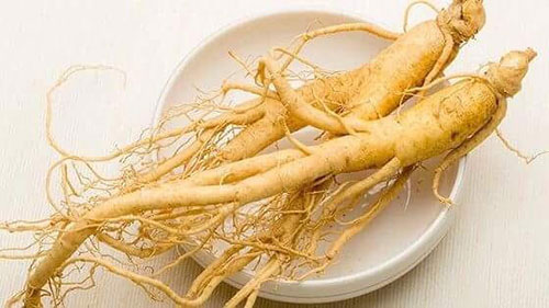Những Người Không Nên Dùng Nhân Sâm
