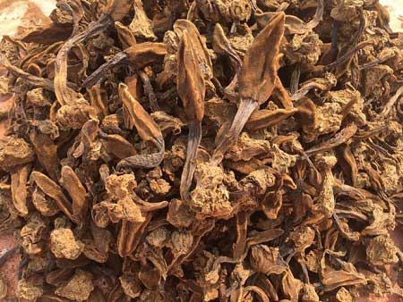 1kg nấm ngọc cẩu khô ngâm bao nhiêu lít rượu