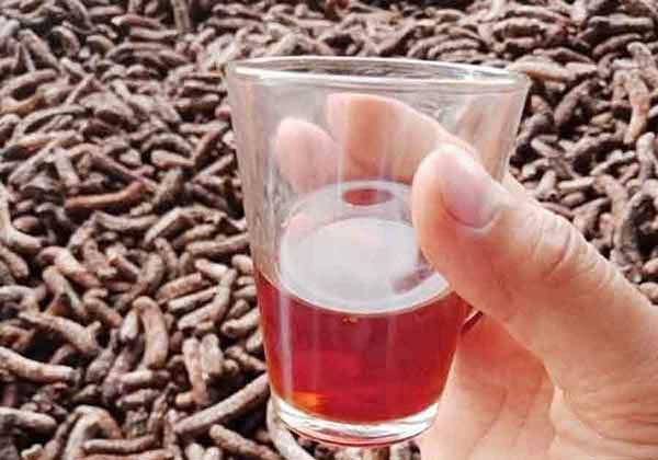 Cách ngâm rượu chuối hột với la hán quả đúng chuẩn