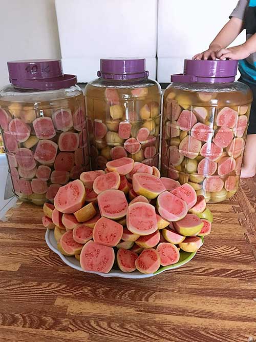 Cách ngâm rượu ổi đúng chuẩn tại nhà