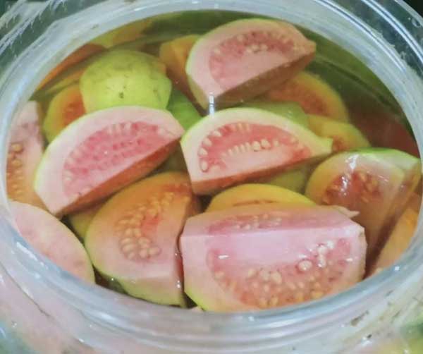 Cách ngâm rượu ổi đúng chuẩn tại nhà