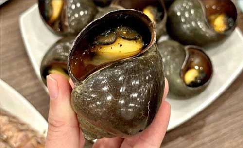 Thủy tinh lỏng ngâm ốc để làm gì