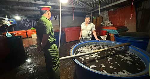 Thủy tinh lỏng ngâm ốc để làm gì