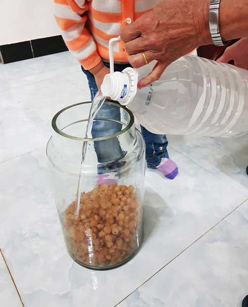 Cách ngâm rượu long nhãn khô đúng chuẩn