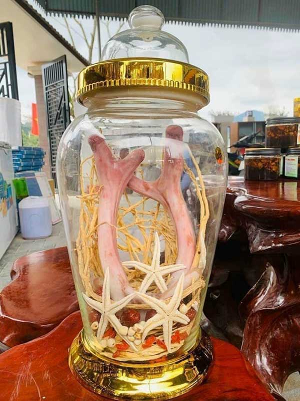 Những sai lầm thường gặp khi ngâm rượu tại nhà